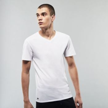 Lacoste 3 Pack of Plain T-Shirts - Tričko Pánské Bílé | CZ-qtXA5S